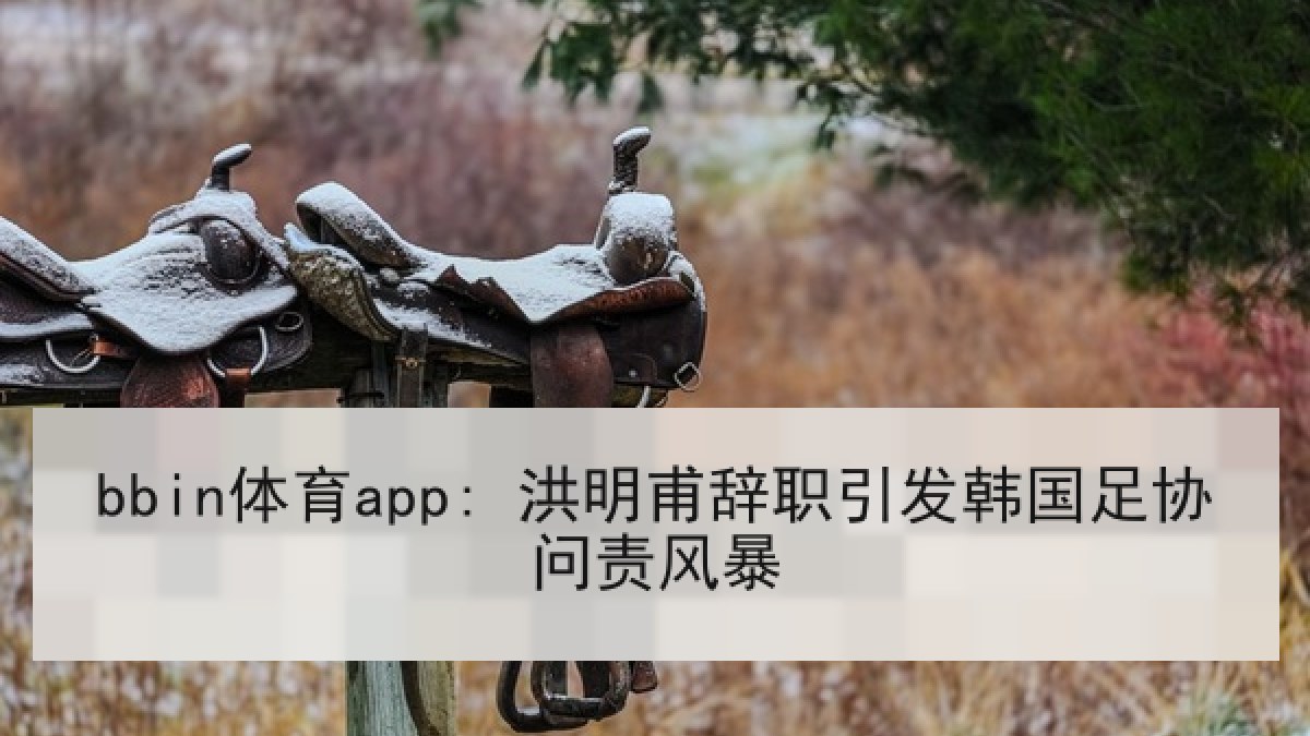 bbin体育app: 洪明甫辞职引发韩国足协问责风暴