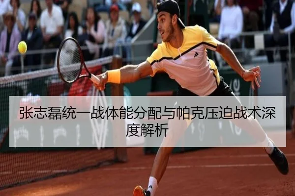 张志磊统一战体能分配与帕克压迫战术深度解析
