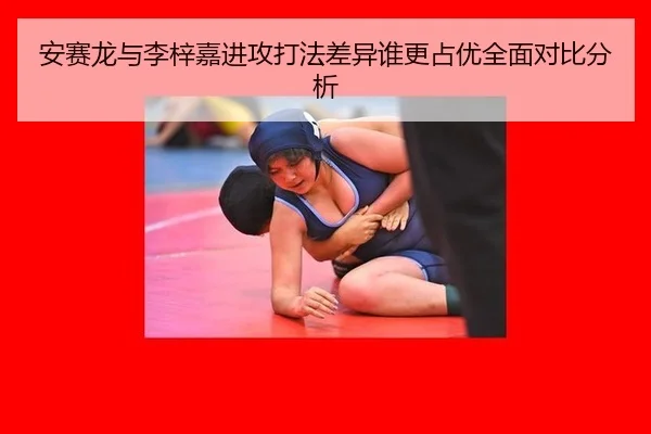 an-sai-long-yu-li-zi-jia-jin-gong-da-fa-cha-yi-shui-geng-zhan-you-quan-mian-dui-bi-fen-xi-3-446.jpg