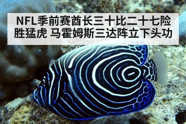 NFL季前赛酋长三十比二十七险胜猛虎 马霍姆斯三达阵立下头功